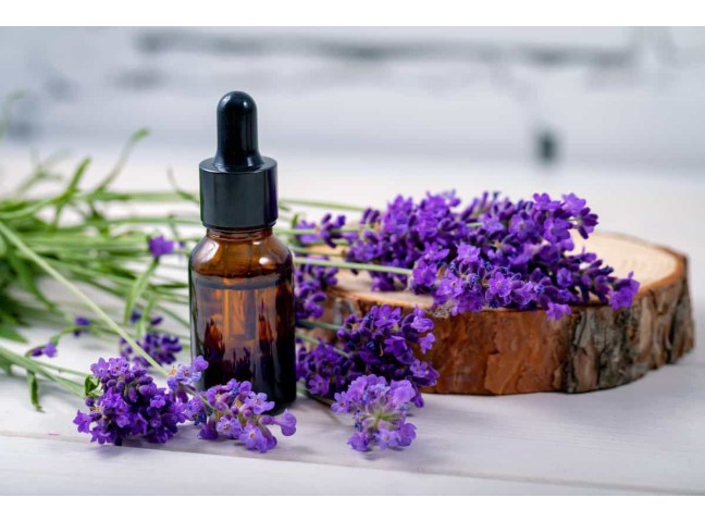 DIFFERENCES BETWEEN BASIC AND STANDARD ESSENTIAL OILS: USES AND PURPOSES