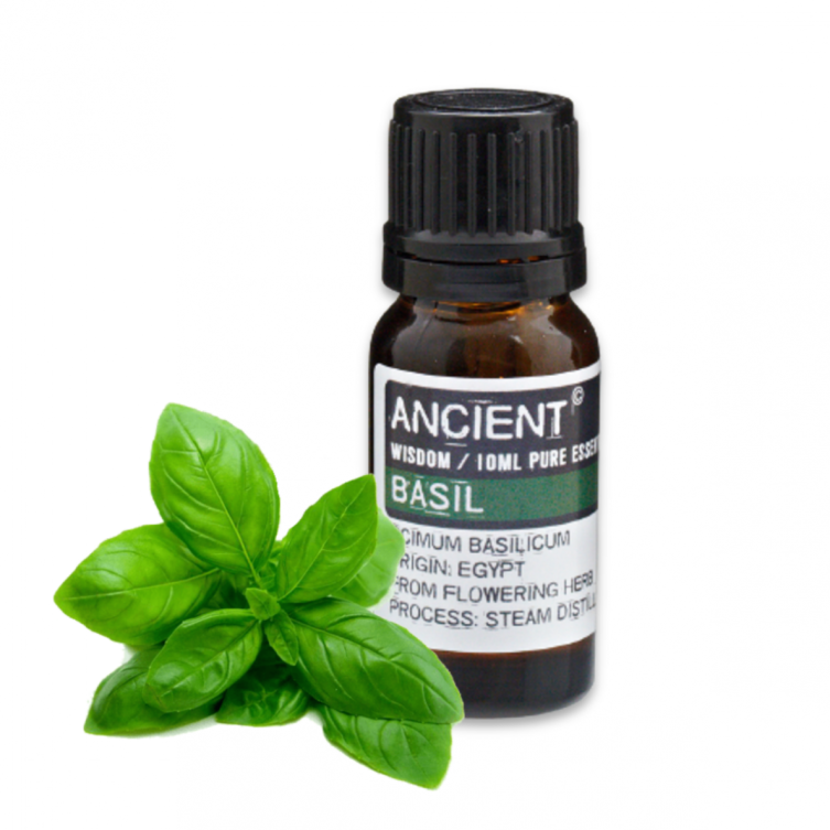 BASIL ESSENTIAL OIL 10 ML