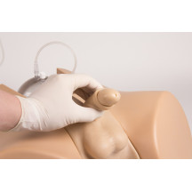 CATHETERISATION SIMULATOR WITH MALE GENITAL AND FEMALE GENITAL INSERTS