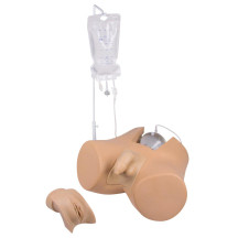 CATHETERISATION SIMULATOR WITH MALE GENITAL AND FEMALE GENITAL INSERTS