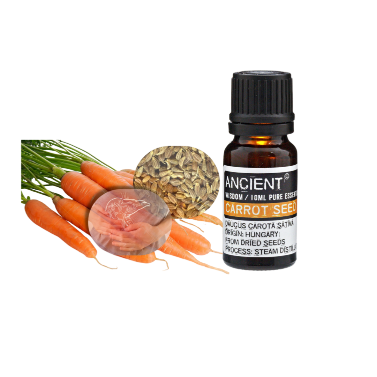 10 ML CARROT SEED ESSENTIAL OIL