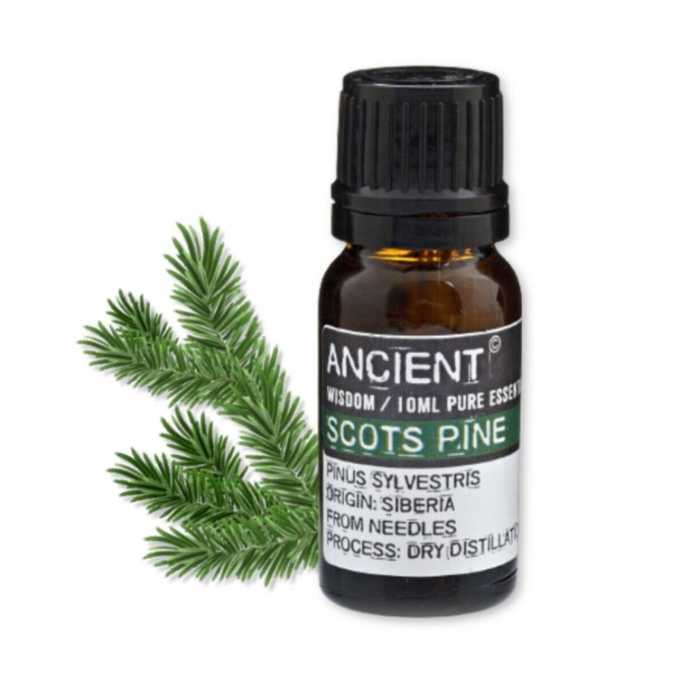 PINE SYLVESTRIS (SCOTS PINE) ESSENTIAL OIL 10 ML