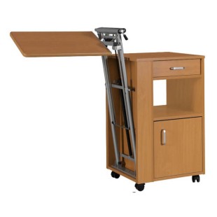 CABINET WITH TABLE AT THE PATIENT'S BEDSIDE