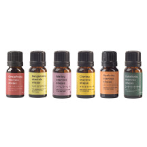 TOP ESSENTIAL OILS IN AN AROMATHERAPY BOX