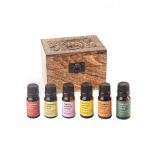 TOP ESSENTIAL OILS IN AN AROMATHERAPY BOX