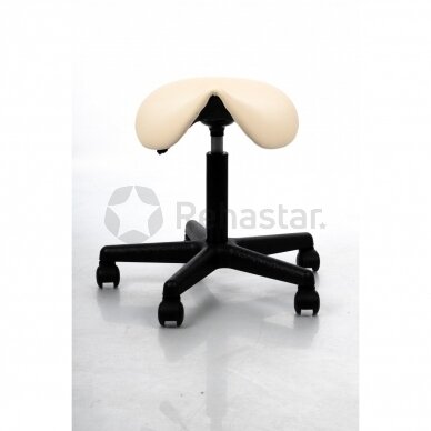 Saddle type chair Expert 1