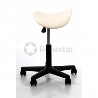 Saddle type chair Expert 1