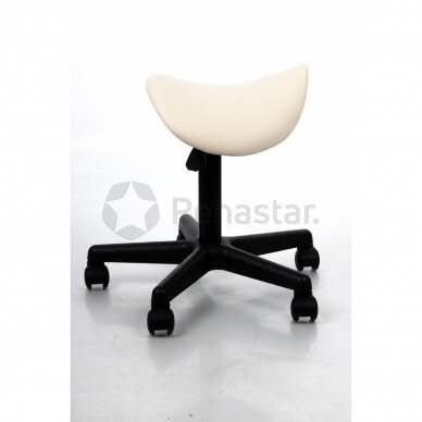 Saddle type chair Expert 1