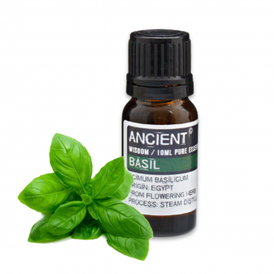 Basil Essential Oil 10 ml