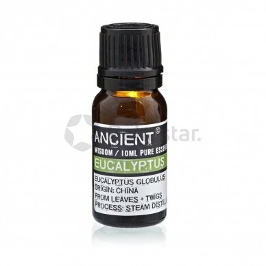 Eucalyptus Essential Oil 10 ml