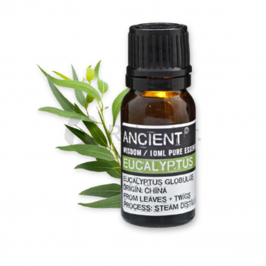 Eucalyptus Essential Oil 10 ml