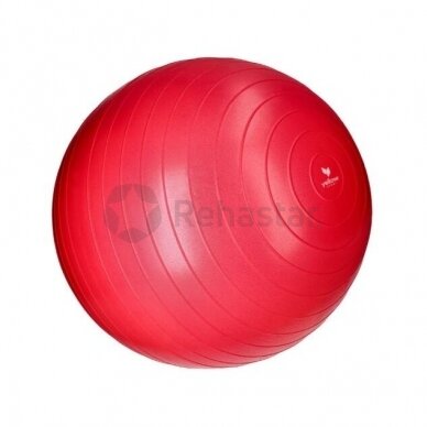 Exercise ball "yellowGYM Ball"