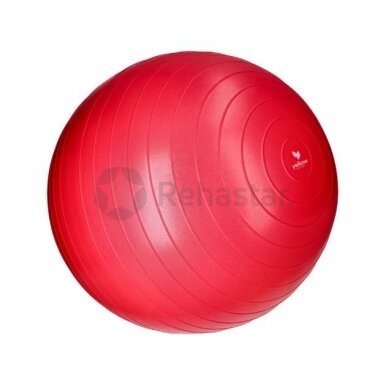 Exercise ball "yellowGYM Ball"