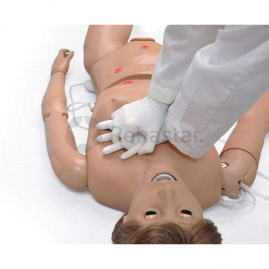 Clinical simulator of advanced patient care "Chloe" I