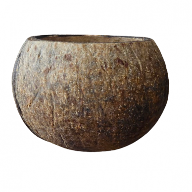 Scented candle "Coconut" in a natural coconut shell