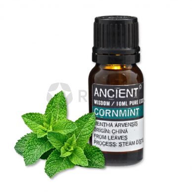 Cornmint Essential Oil 10 ml