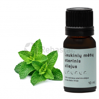 Cornmint Essential Oil Rehastar 10ml