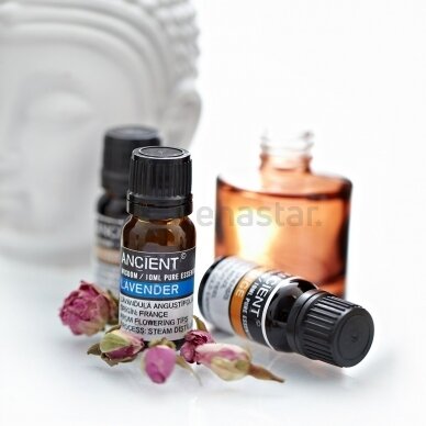 Lavender Essential Oil 10 ml