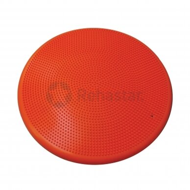 Balance cushion 60 cm