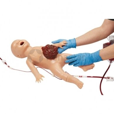 A simulator of newborn care and advanced life saving skills