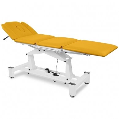 Treatment Table  NSR 4