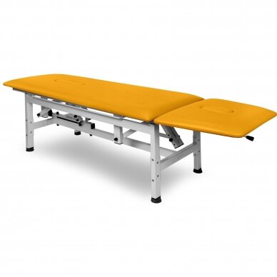 Treatment Table JSR 2