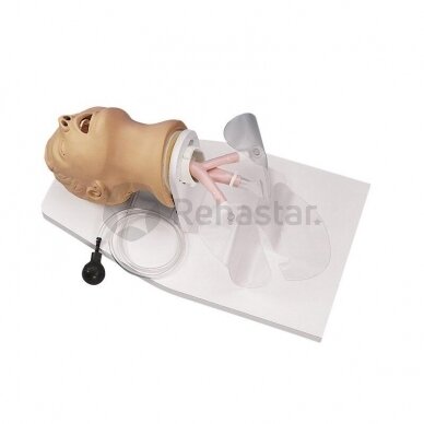 Pieaugušo intubācijas simulators